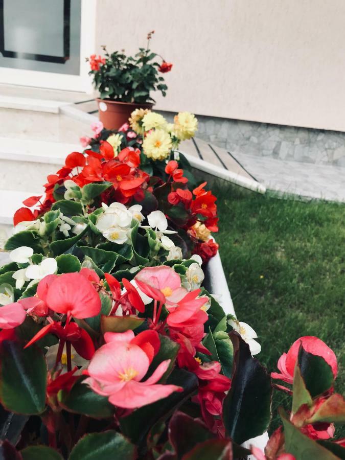Villa Dedej Durrës Dış mekan fotoğraf